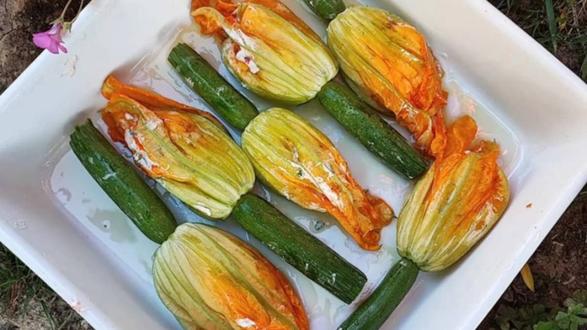 Fleurs de courgettes farcies