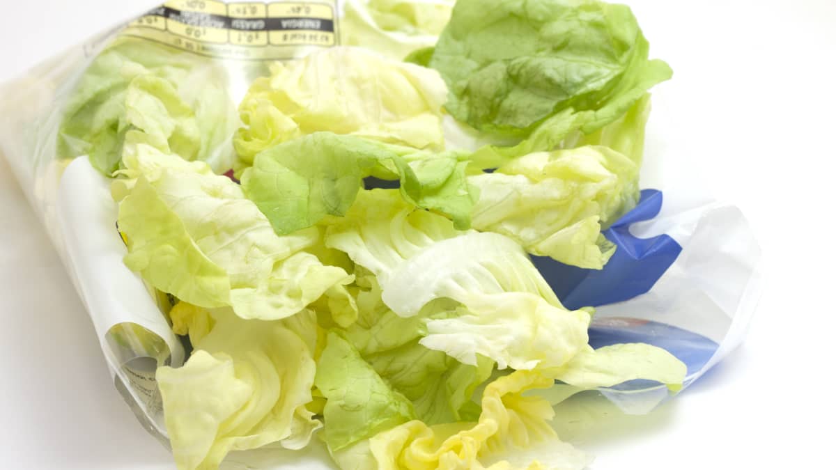 Laitue sous-vide