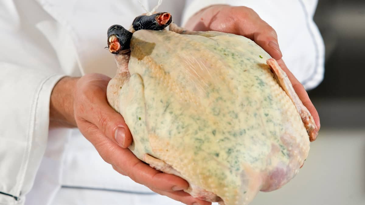 Chef et chapon avant cuisson