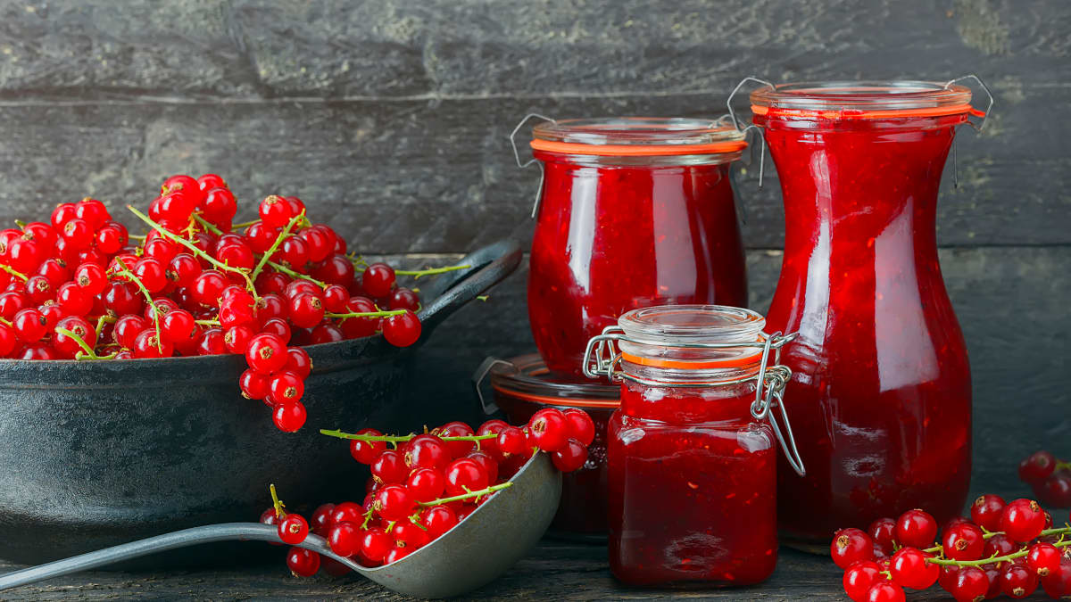 Gelée de groseilles et groseilles fraîches