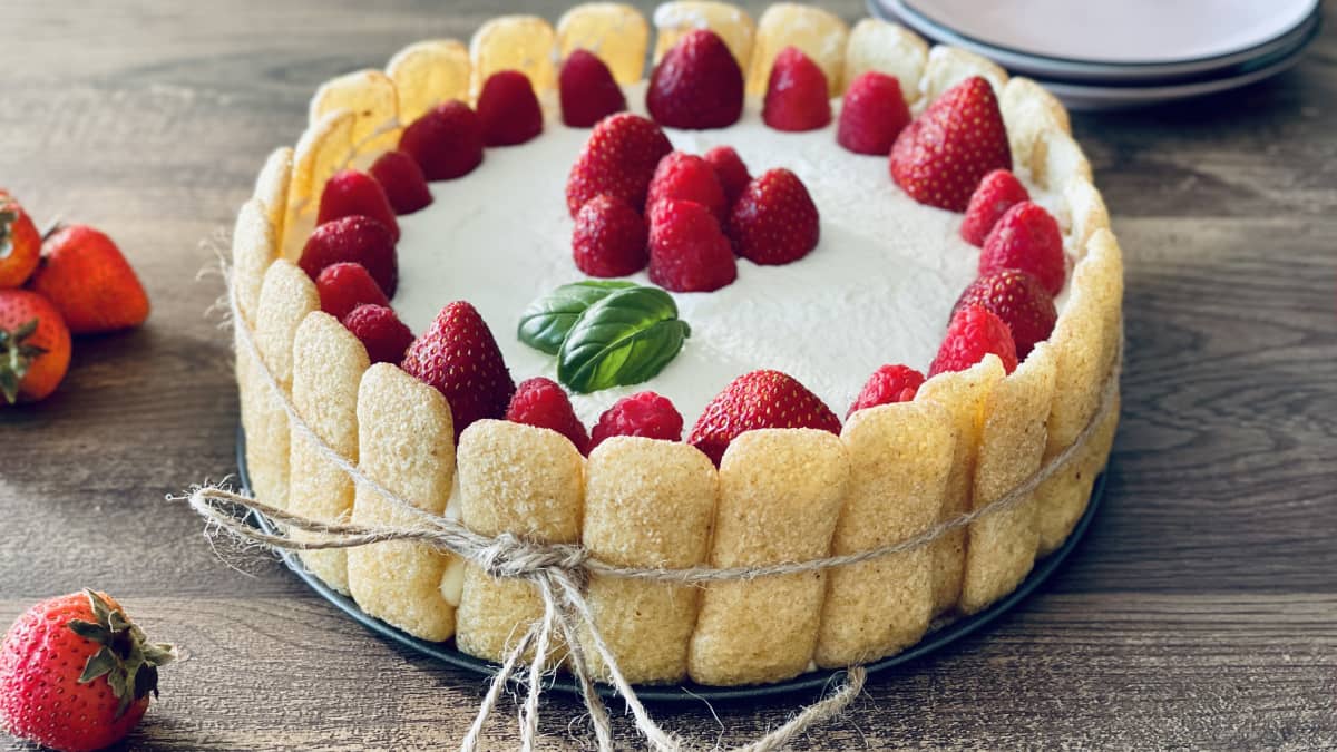 Tiramisu original façon charlotte aux fraises