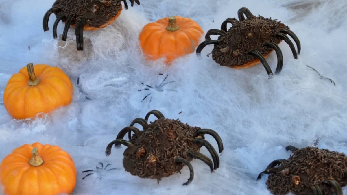 Araignées velues au chocolat et décor d'Halloween