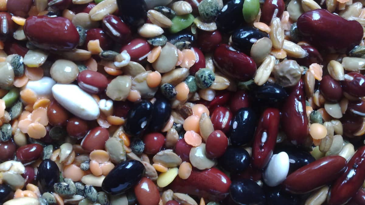 Les légumes secs