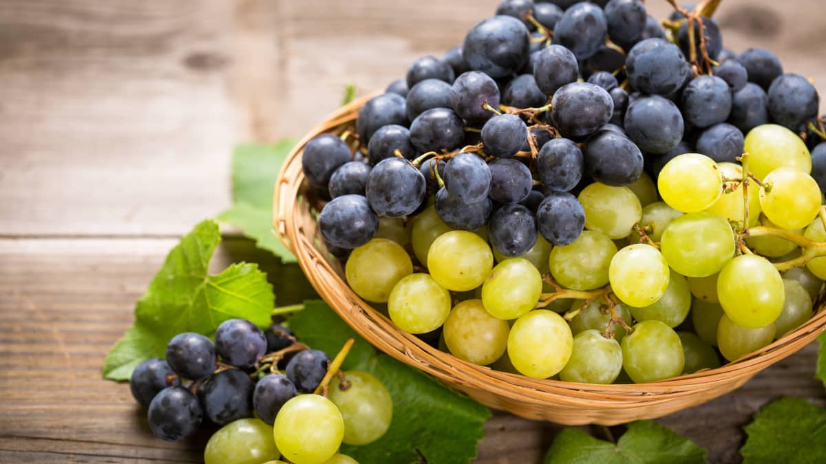 Grappes de raisins noirs et blancs dans un panier