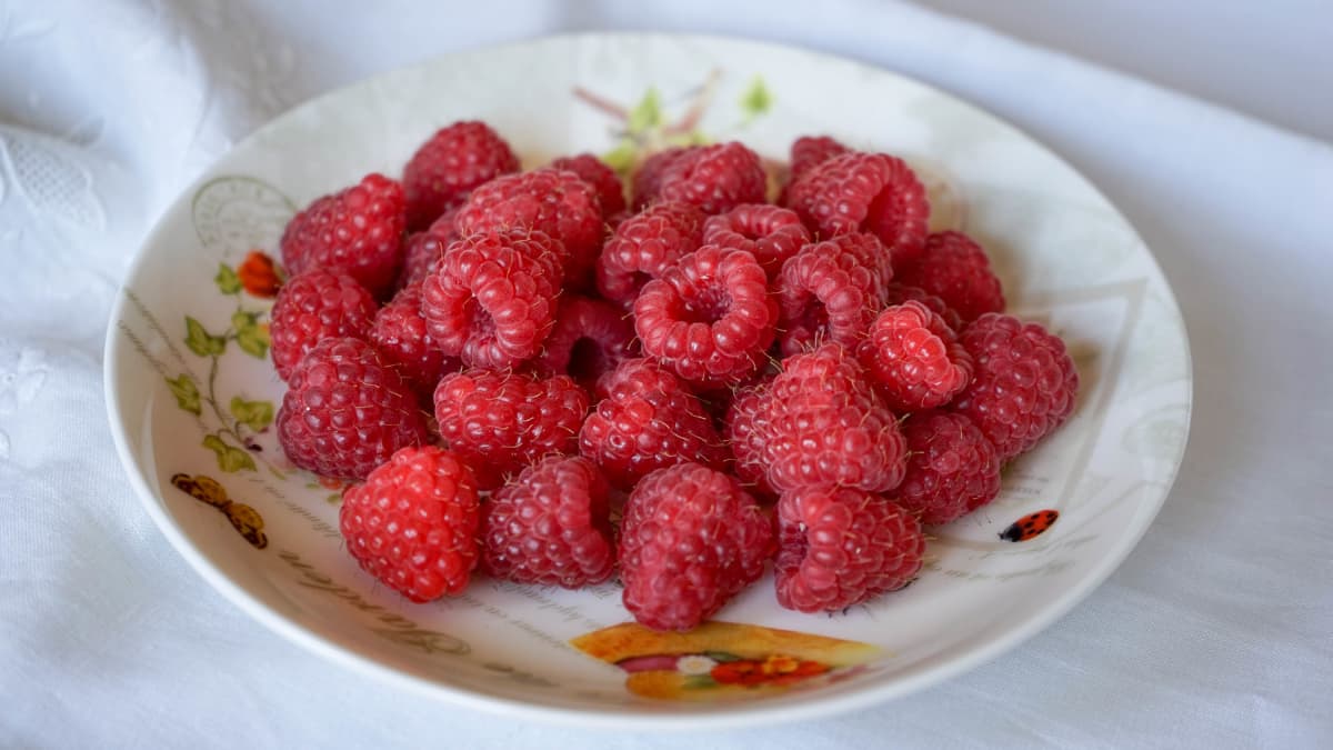 Assiette de framboises fraîches sur nappe blanche.