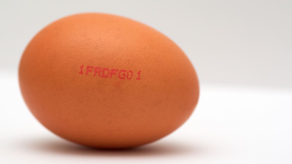 Oeuf marqué d'un code