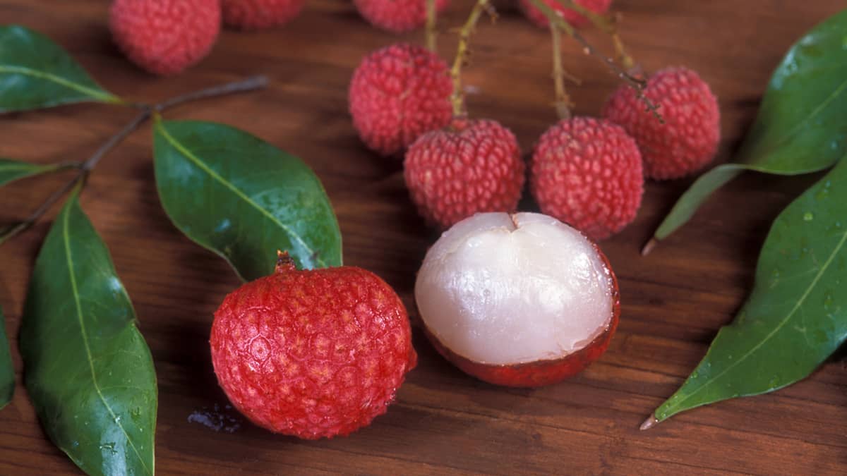 Litchis