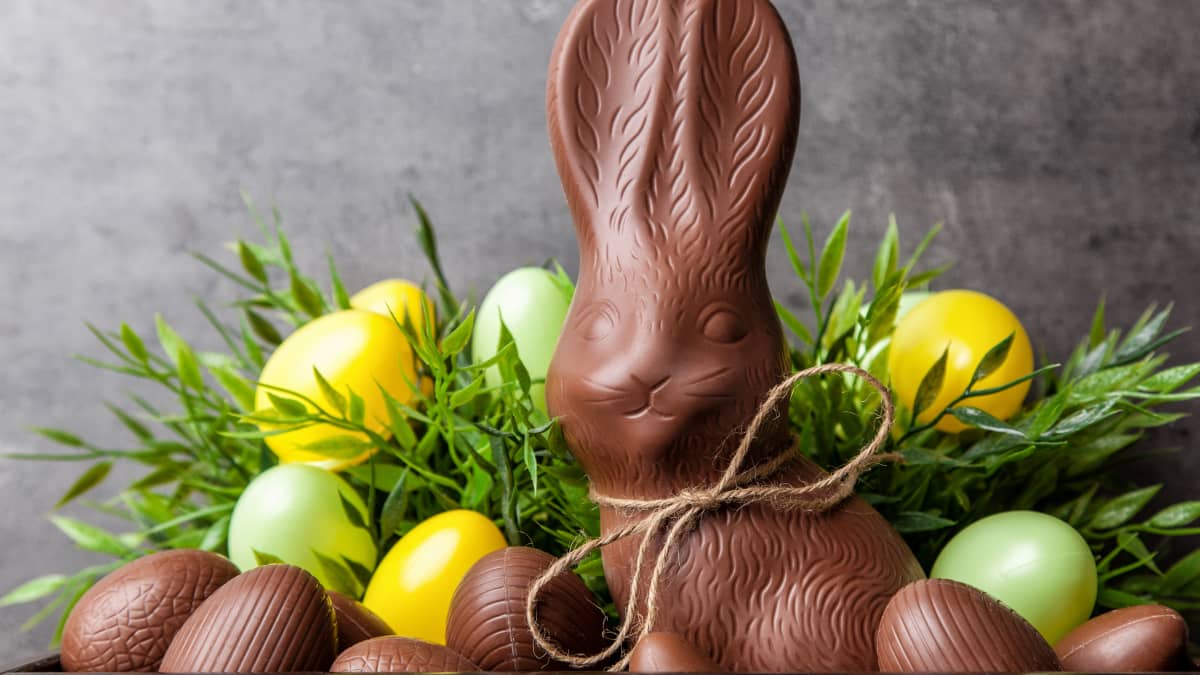 Composition de Pâques avec œufs en chocolat et lapin en chocolat