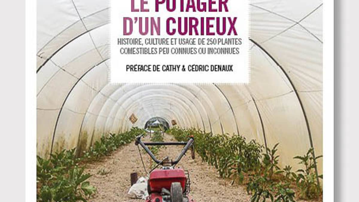 Le potager d'un curieux