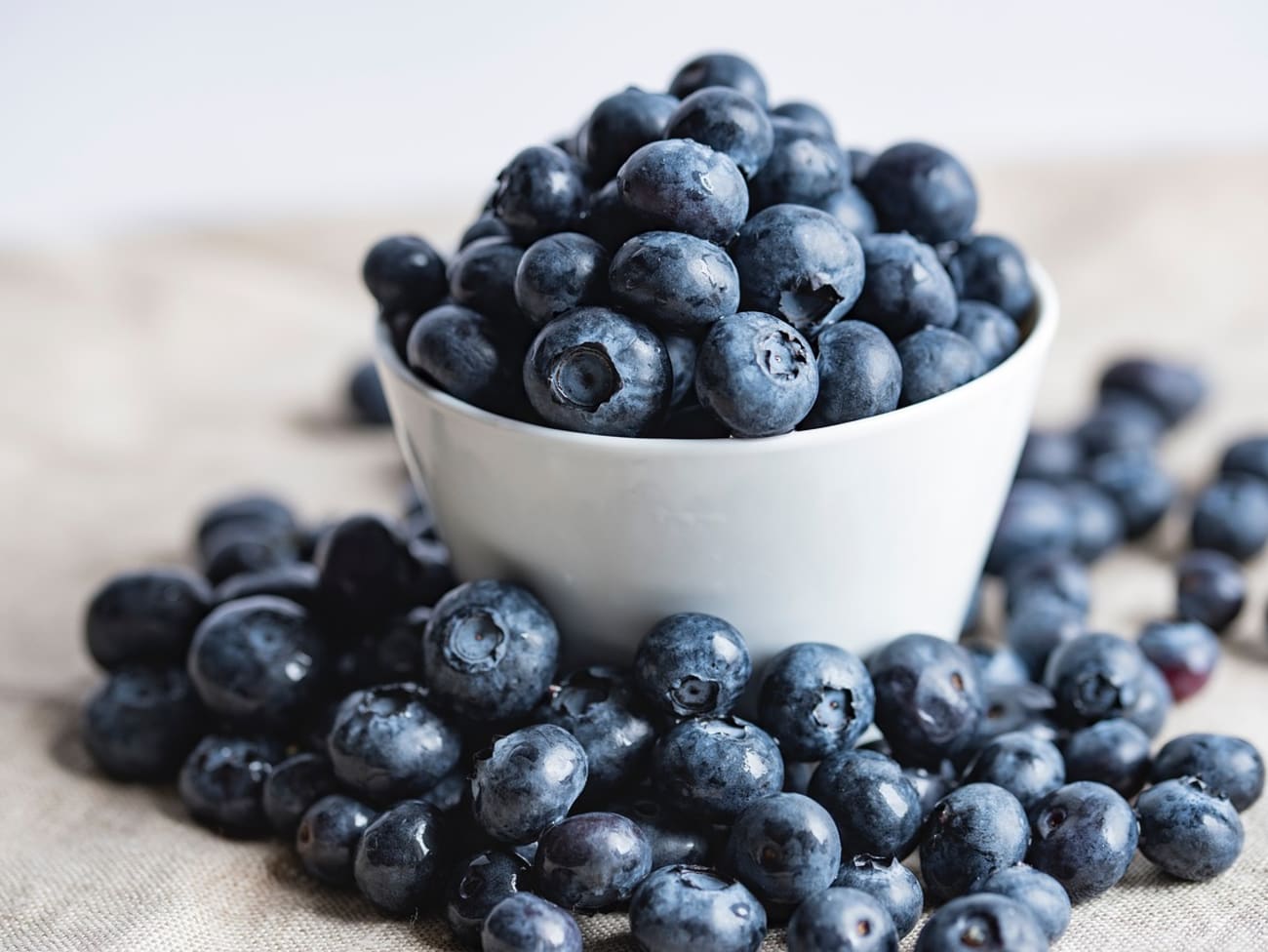 Les myrtilles, des fruits rouges à la saveur douce et légèrement