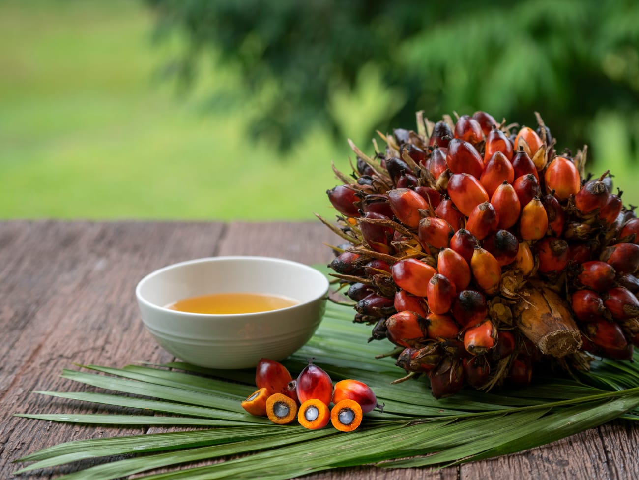 Tout savoir sur l'huile de palme rouge