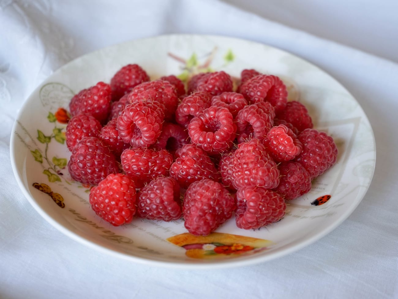 Tout savoir sur la framboise