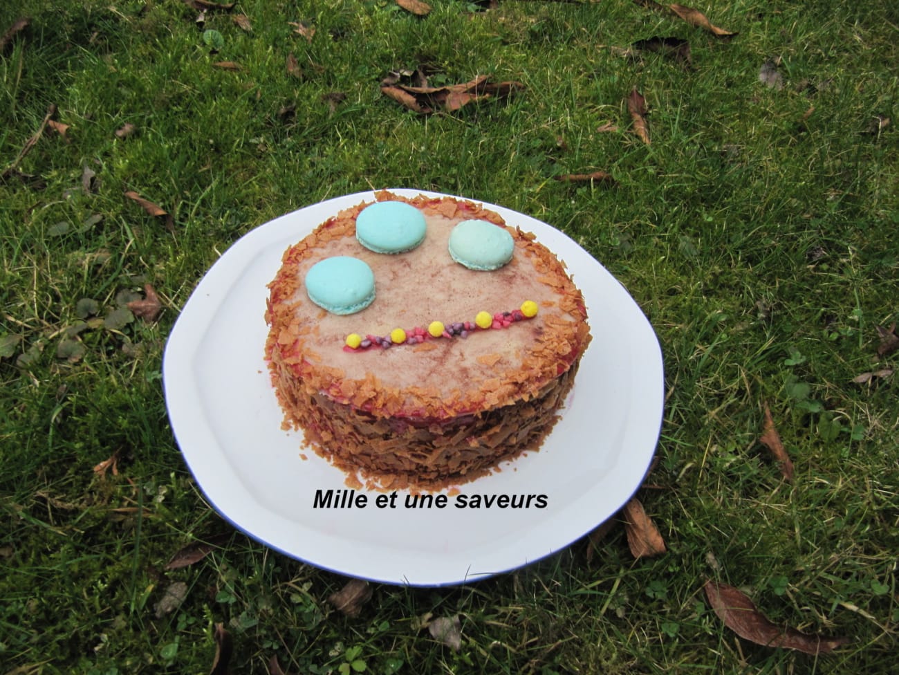 Molly cake by Eve (recette idéale pour les cake design) 