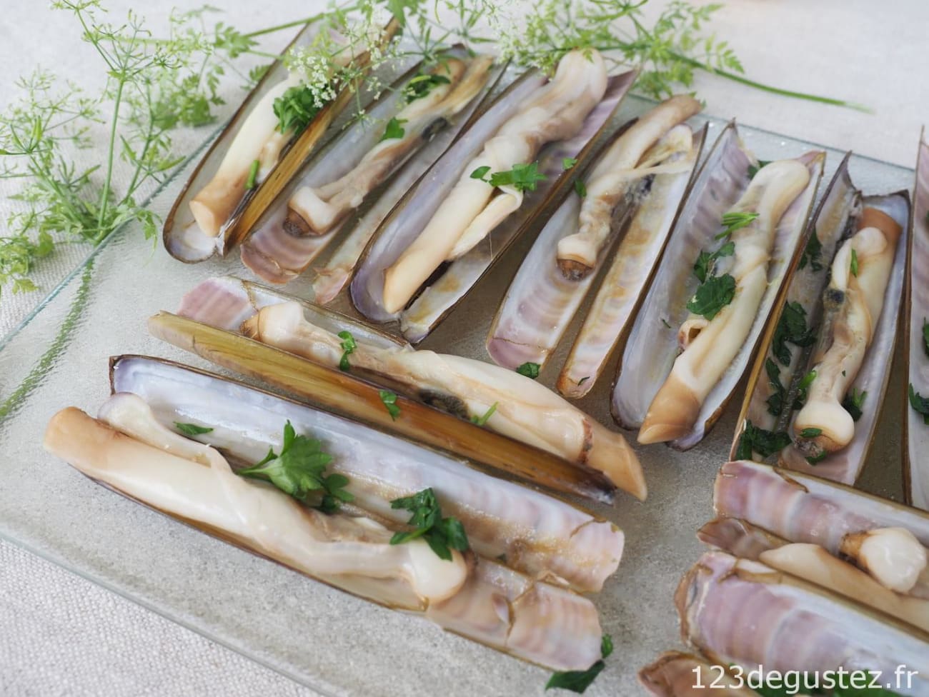 Recette Daurades marinées à la plancha (facile, rapide)