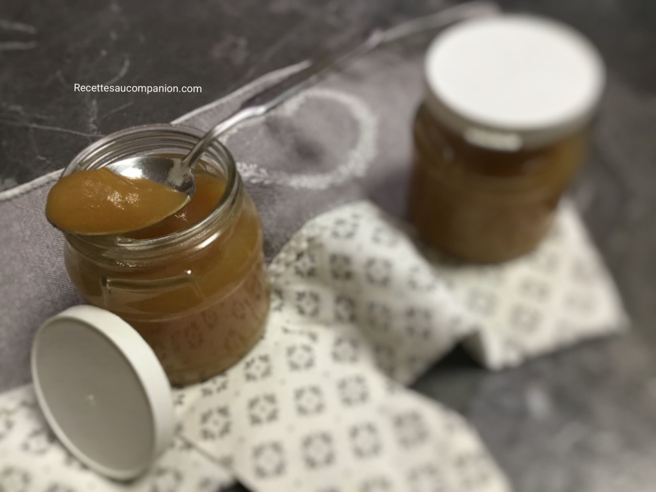 Compote pommes vanille Recette par Recettes au companion ou pas