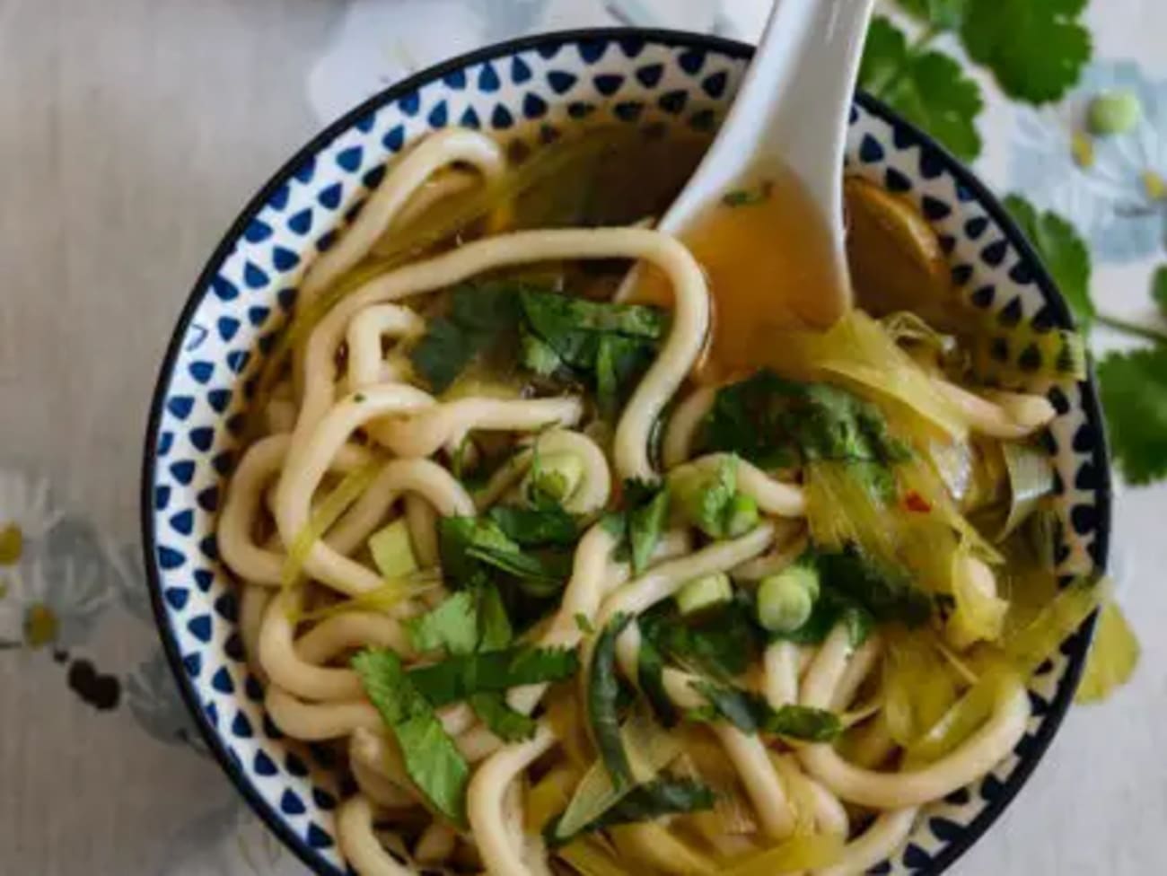 Soupe de nouilles udon végétarienne poireau et coriandre Recette par