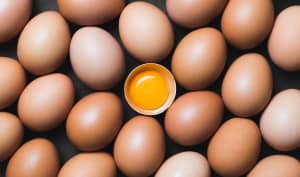 Les oeufs n'auront plus aucun secret pour vous !