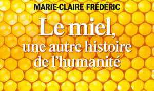 Le miel, une autre histoire de l'humanité