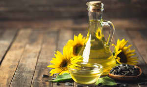 L'huile de tournesol