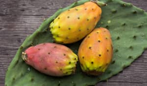 La figue de Barbarie