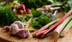 Primeurs et délices de mai : focus sur les produits stars