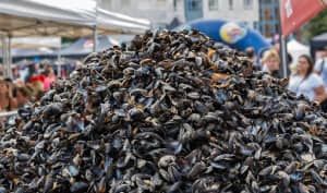 Ce week-end la grande braderie de Lille fait son retour !