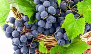 Le raisin