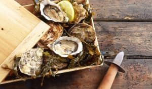 Choisir et déguster les huîtres