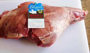 Techniques appliquées à l'agneau et au mouton