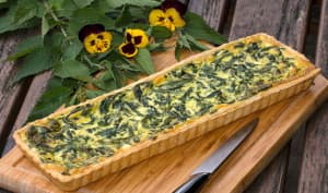 Promenons nous dans les bois !