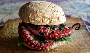 Des recettes qui ont le vent en poulpe