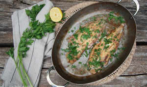 Poissons de saison, poissons très bons