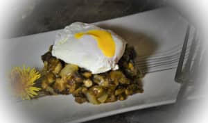 Tout est bon dans le pissenlit