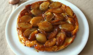 Une échalote ne fait pas le printemps