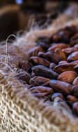 Cacao