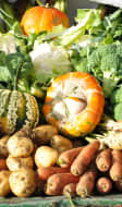 Légumes d'automne sur les étals d'un marché