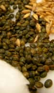 Lentilles vertes du Puy et petit épeautre graines.