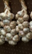 Tresses d'ail