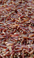 Riz rouge