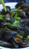 Assiette de moules