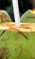 Noix de coco avec une paille