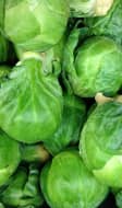 Choux de Bruxelles