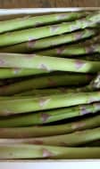 Asperge
