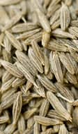 Graines de carvi