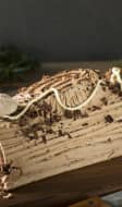 Bûche gâteau à la crème au beurre au café