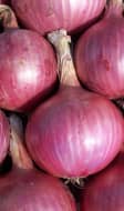 Oignon rouge