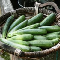 courgettes