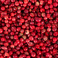 poivre rouge