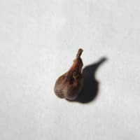 huile de pépins de raisin