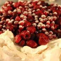 pavlova